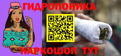 амф Заволжье