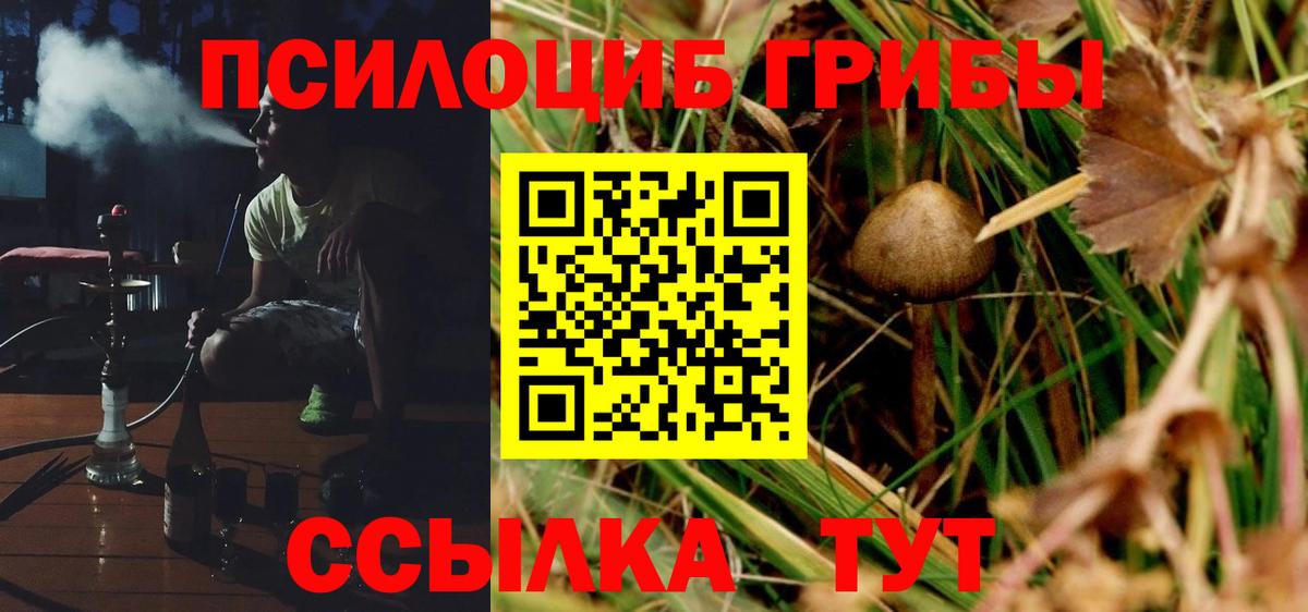 где продают   Псилоцибиновые грибы MAGIC MUSHROOMS  Вход с VPN  Заинск 